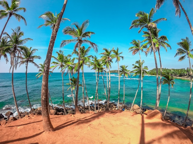 Sri Lanka Beach Paradise